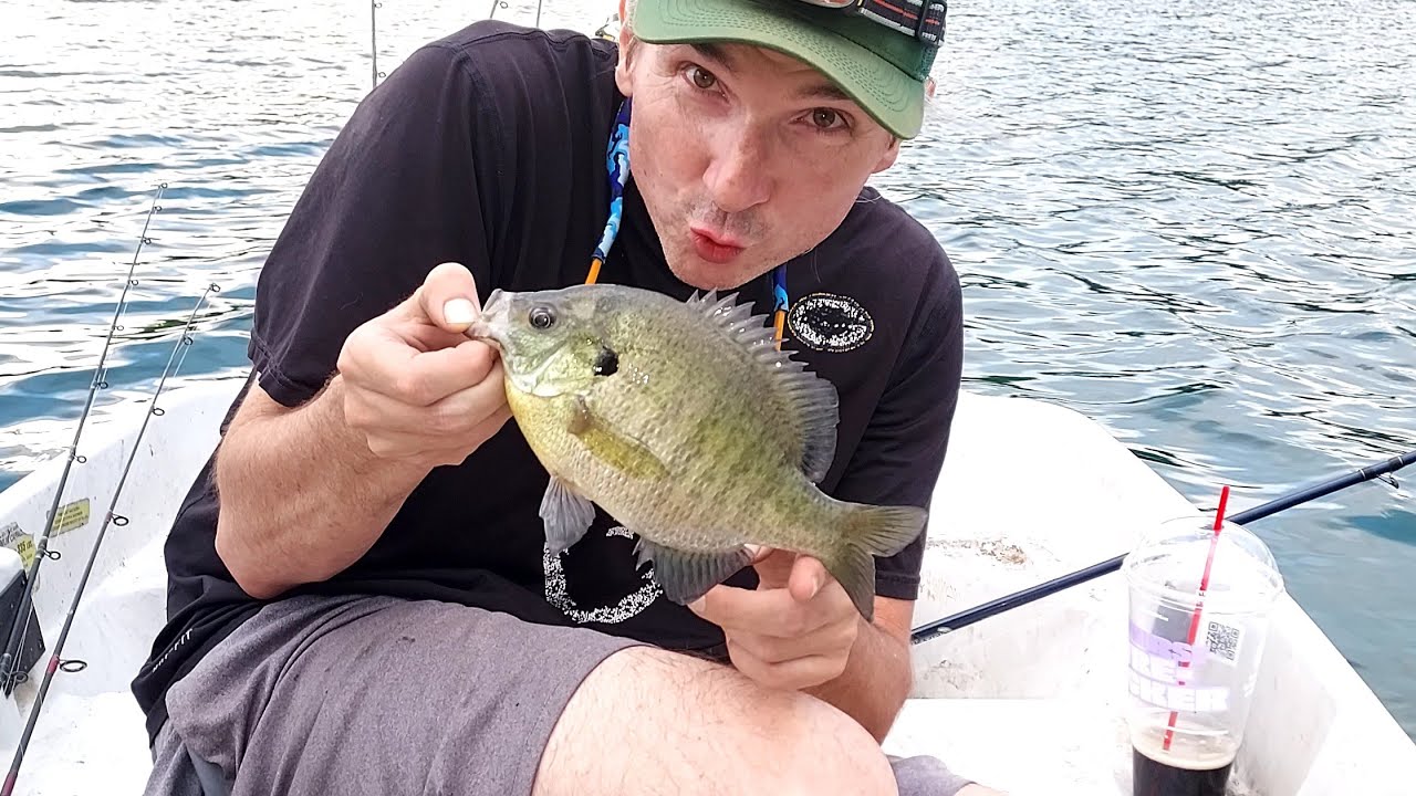 Bass fishing with some unexpected catches. #fishing #bassfishing