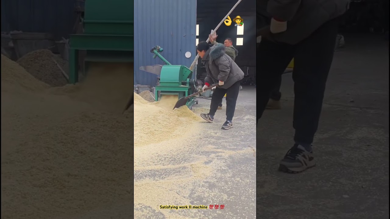 Craziest tree crushing : Wood chipper crushing machine