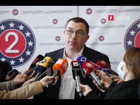 პარტია „ევროპული საქართველოს“ ყრილობა