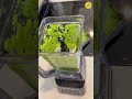 This Ninja Blender CRUSHED Ice in Seconds! #NinjaBlender#SmoothieMaker#KitchenGadgets #shorts