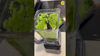 This Ninja Blender CRUSHED Ice in Seconds! #NinjaBlender#SmoothieMaker#KitchenGadgets #shorts