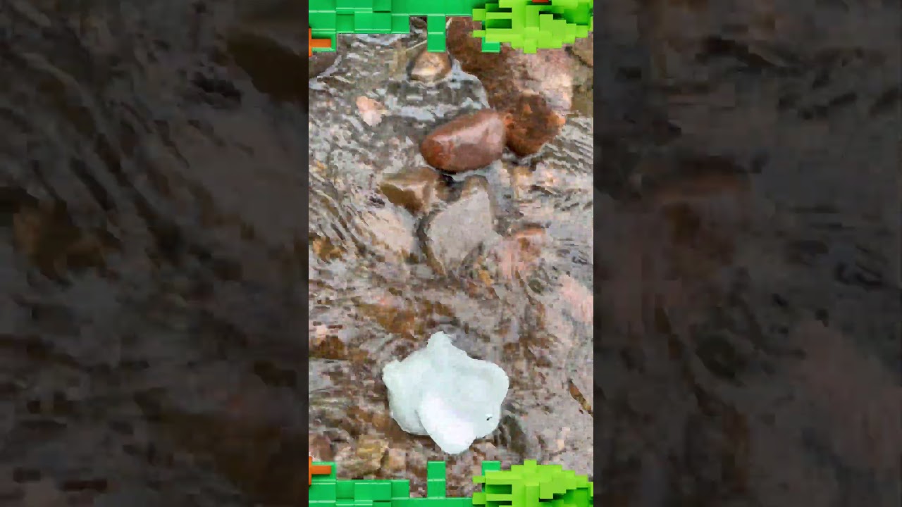 Elephant Fun! 🐘 Elepante - Learn English & Tagalog Animal Names for Kids