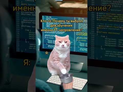 💸IT — одна из самых высокооплачиваемых отраслей💸