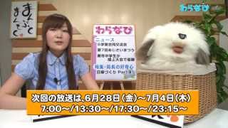 わらなび_日傘Part3