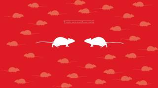 Top 5 UK Rat facts uncovered | Rentokil