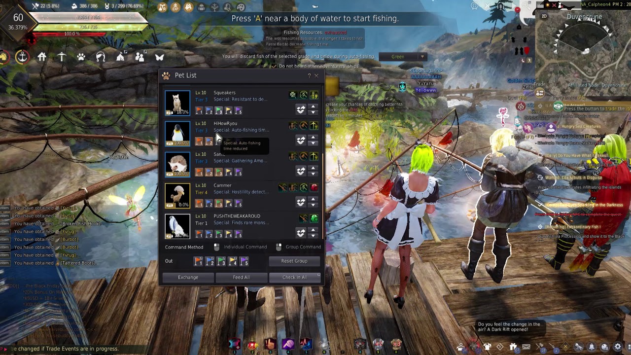 BLACK DESERT Pet Exchange 90 To T4!! YouTube