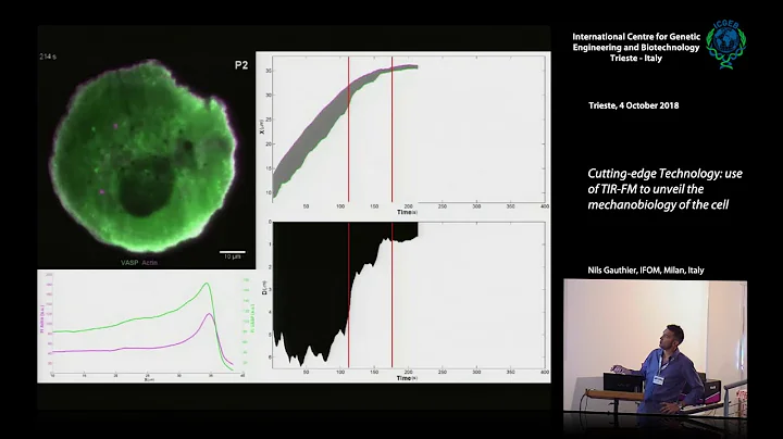 N. Gauthier - Cutting-edge Technology: use of TIR-...