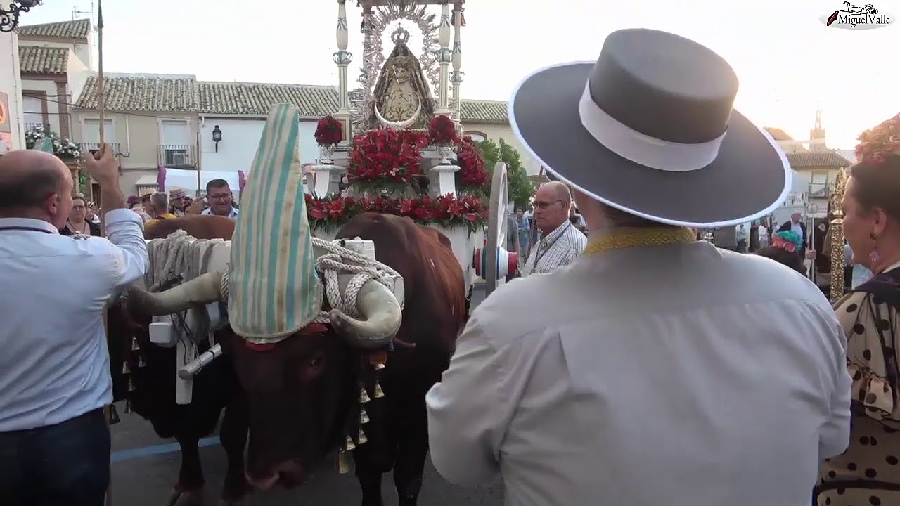 Romería de Morón de la Frontera 2019 (Parte 1/2)