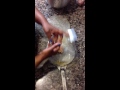 Garifuna cooking with Mamaga Garifuna - Cocinando enpanadas de salmón - Fish Panades