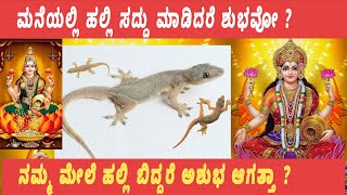 Is It Auspicious If A Lizard Makes A Noise In The House       Kannada Vlogs