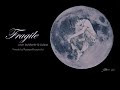 [Vietsub &amp; Lyrics] Fragile - Sting (cover by Maëlle vs Gulaan)