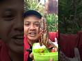 Bekal terong jumbo sama ikan sambel cek #masakan #masakanrumahan #masakansederhana #food