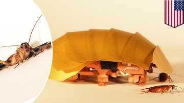 Cockroach robot developed by UC Berkeley researchers could save lives - TomoNews