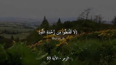 سورة الزمر الآية ٥٣ - إسلام صبحي