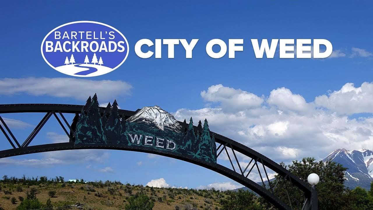 The city of Weed is known for more than its name | Bartell's Backroads