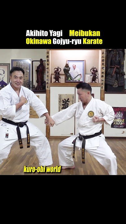 That looks painful! Okinawa Karate Practice hitting each other.