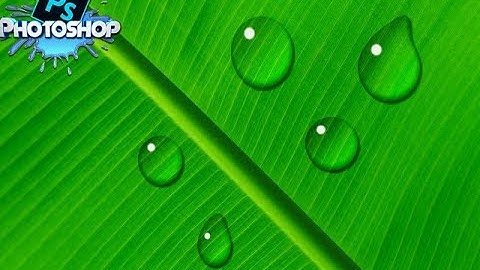 How to Create Realistic Water Drops in Photoshop