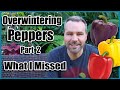 Overwintering Pepper Plants Part 2 - What I Missed