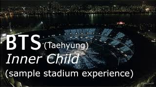 BTS (방탄소년단) - Inner Child (sample stadium experience)
