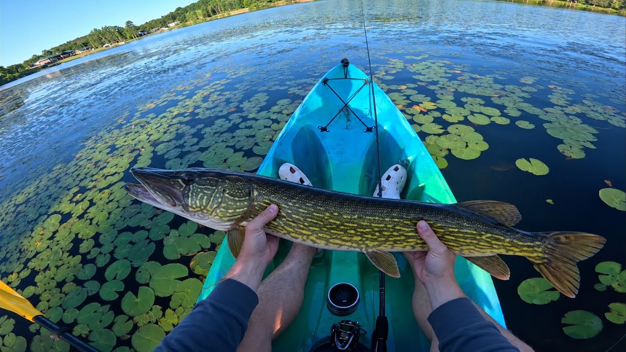 Bass Fishing at Local Lake!