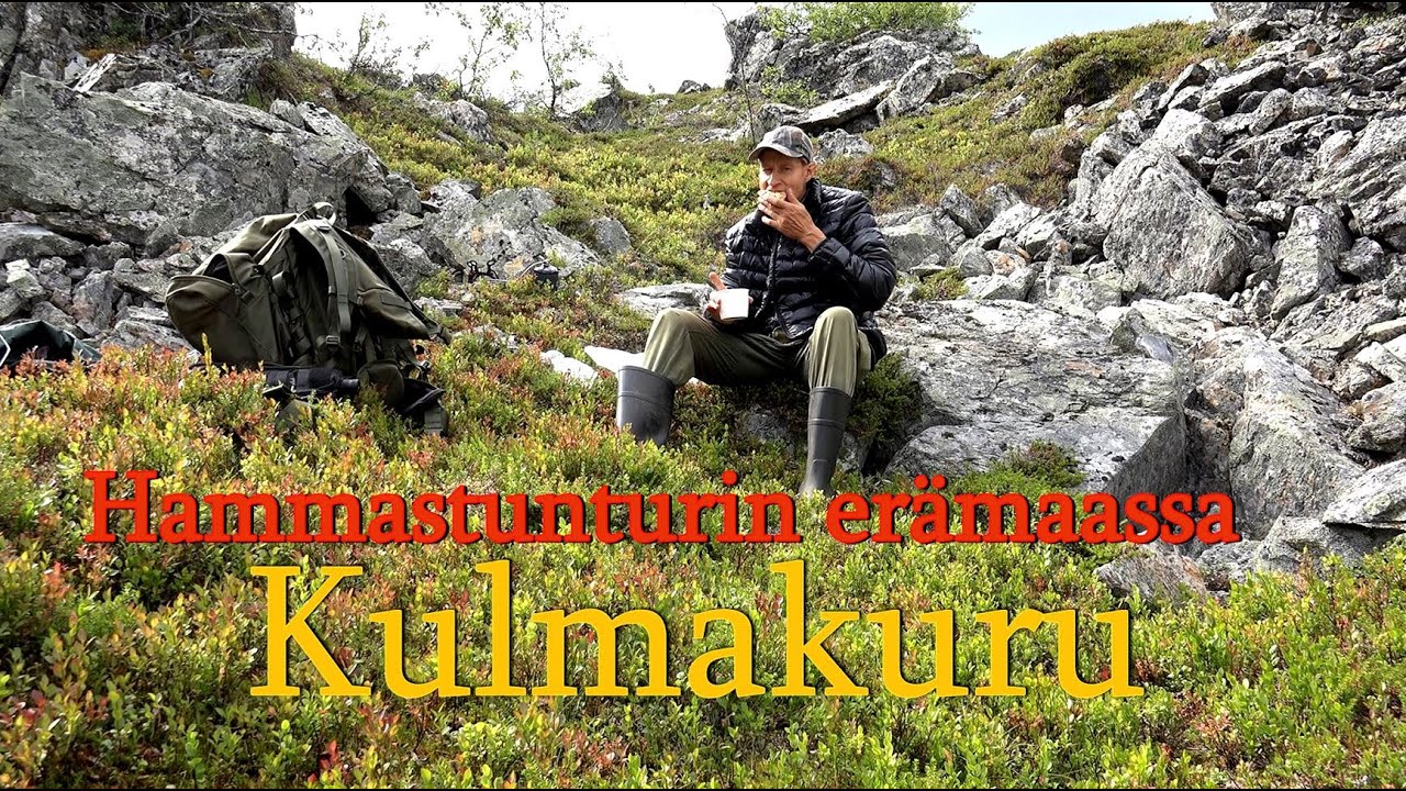 Kulmakuru Hammastunturin erämaassa. Lapissa luontokuvausta