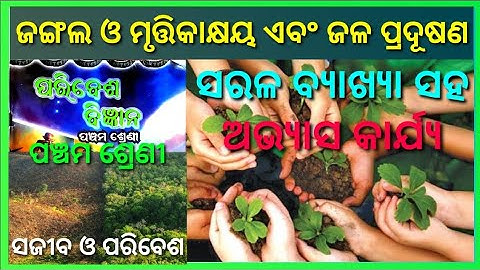class 5 science chapter 17 ଜଙ୍ଗଲ ଓ ମୃତ୍ତିକାକ୍ଷୟ ଏବଂ ଜଳ ପ୍ରଦୂଷଣ॥ question answer odia medium Ose