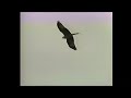The Natural Wonders of Europe - The Major National Parks of Europe (1995)