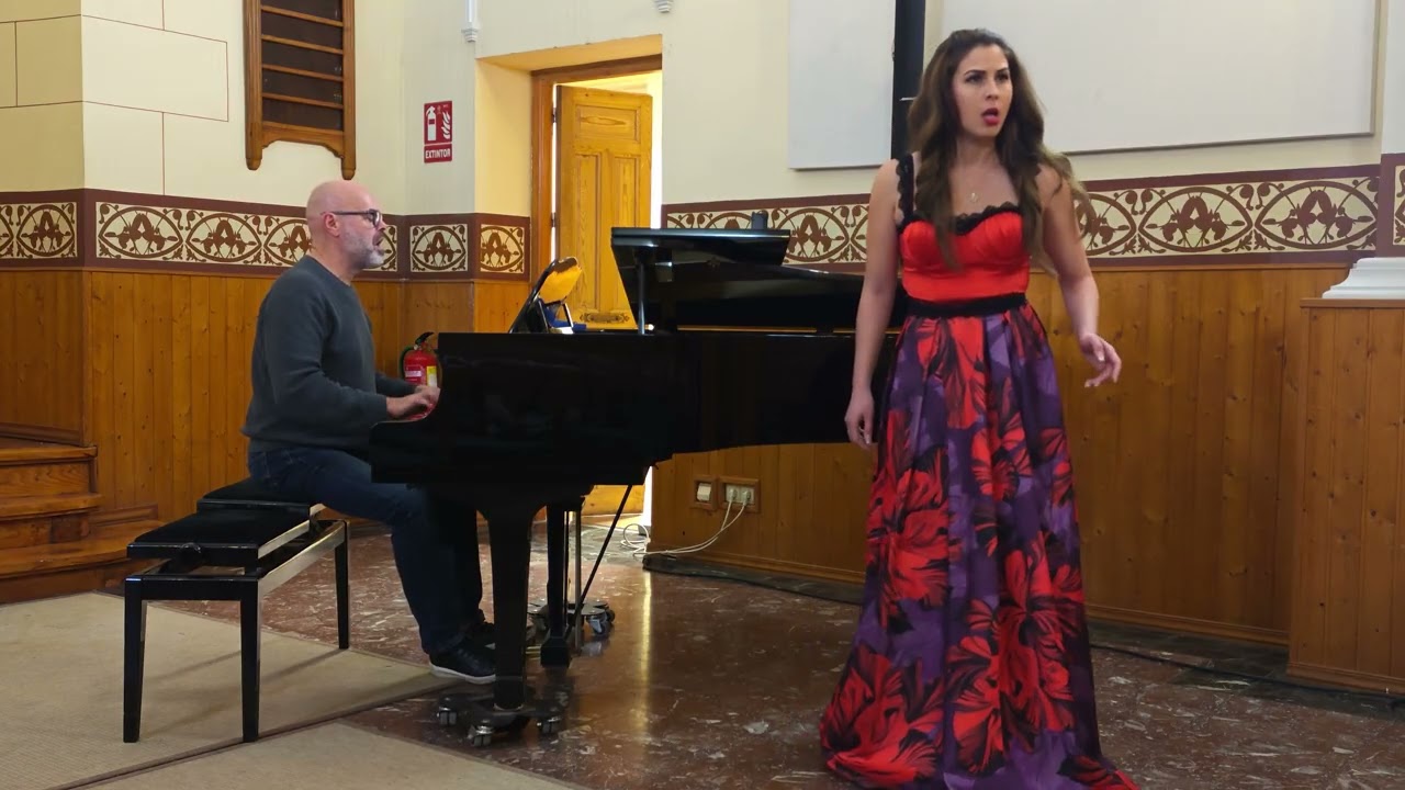 Suzana Nadejde -Furie terribili-G.Fr.Händel (Rinaldo)