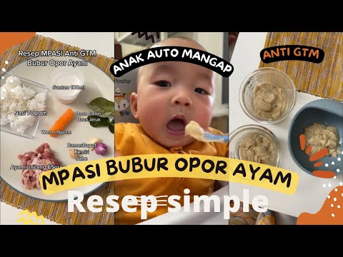 Resep Mpasi Bubur Opor Ayam
