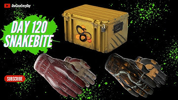 Opening one CS2 case every day until I get a Gold DAY 120