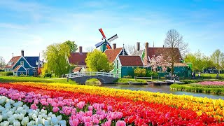 Wonders of the Netherlands - Windmills, Villages & Magical Canals Never Seen Before