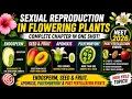 Sexually reproduction in fl. Plans lPost Fertilization EventslNcert line by line ExplanationlPart-6