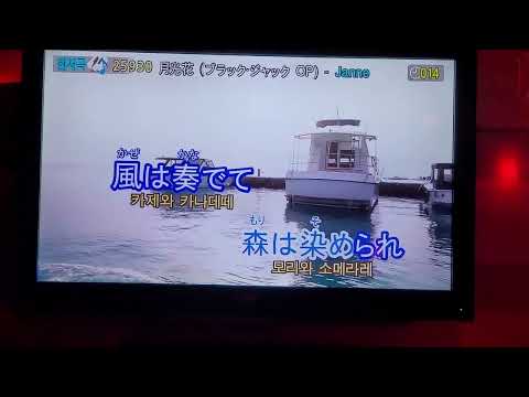 (노래방)잔다르크(Janne Da Arc)-월광화(月光花)불러보았다