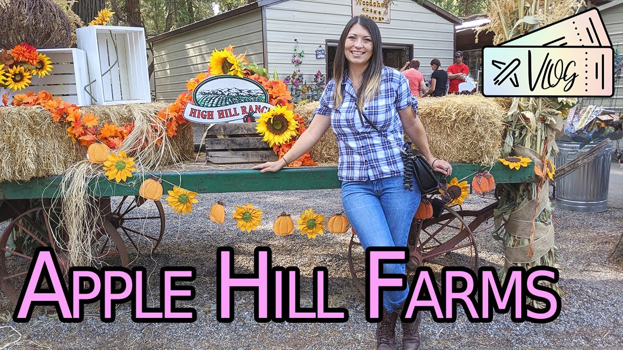 Apple Hill Farms! Best Apple Cider Near Sacramento + Learning How To Harvest Grapes At A Winery