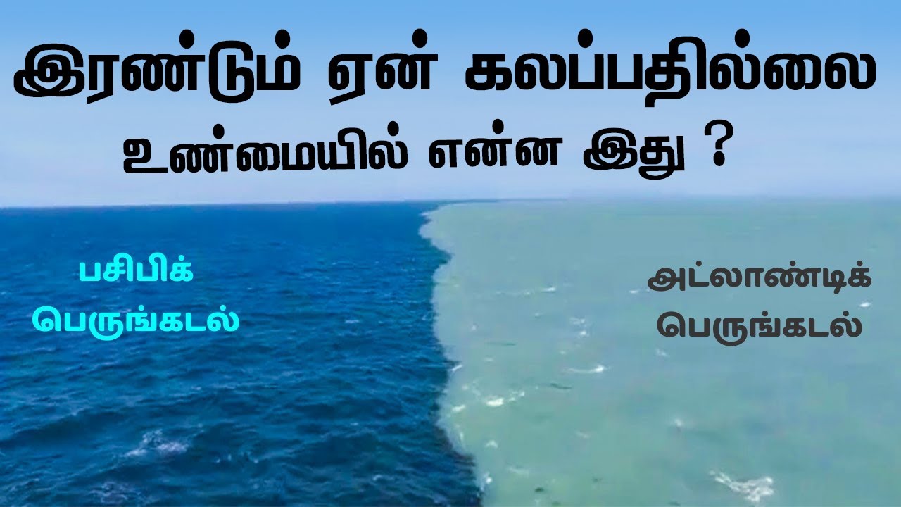 ஏன் இந்த இரு கடல்களும் கலப்பதில்லை | The Science Behind It