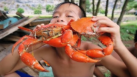 ĂN CUA BIỂN • Ngố Rừng • Tập 11