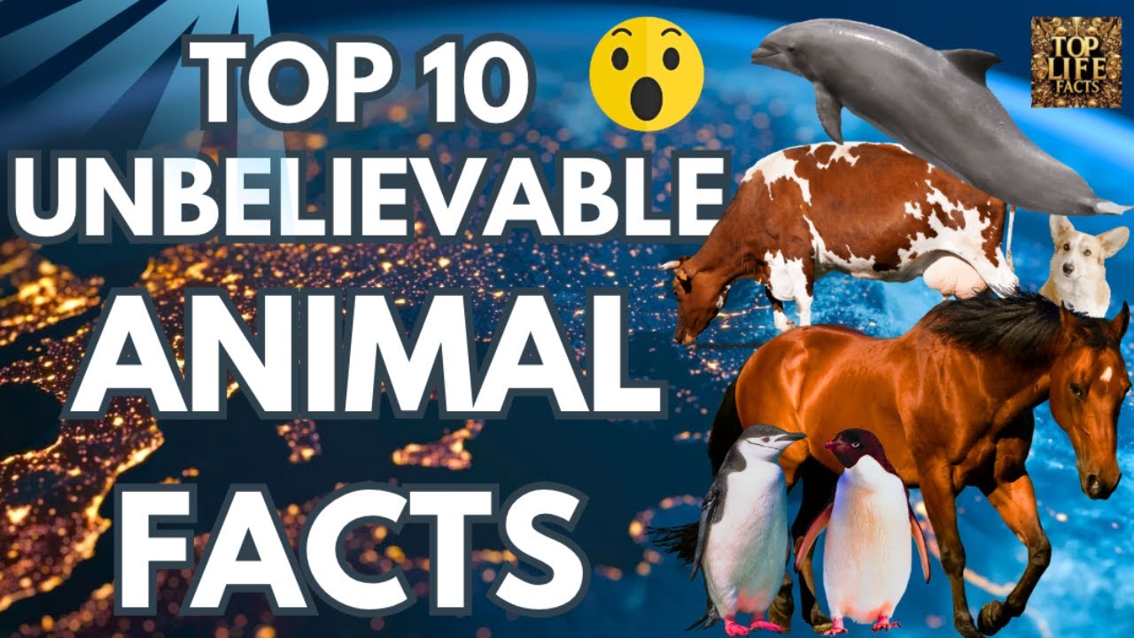 Top 10 Unbelievable Animal Facts 🦁 | Discover the Most Fascinating Creatures on Earth