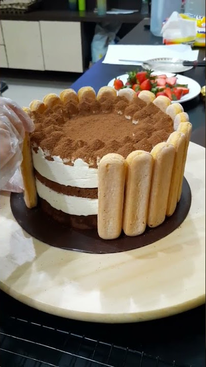 Viral Tiramisu Ladies Fingers Cake