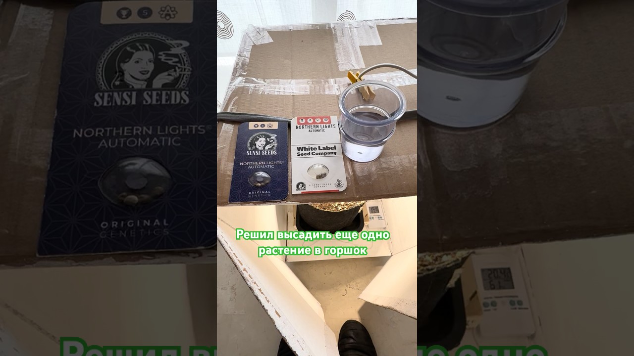 Решил посадить второе растение - выбрал семечку из синей упаковки по вашим советам