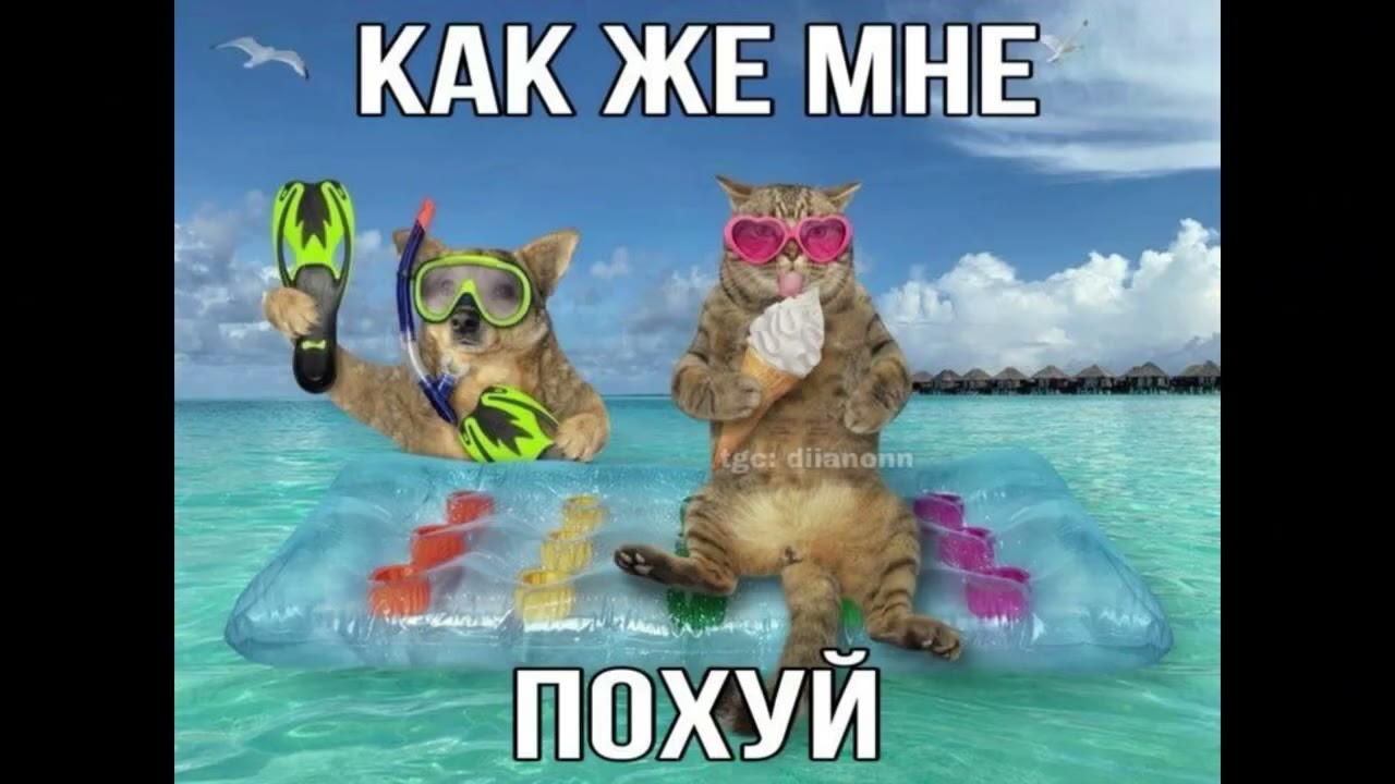 КТО ЭТО СКАЗАЛ