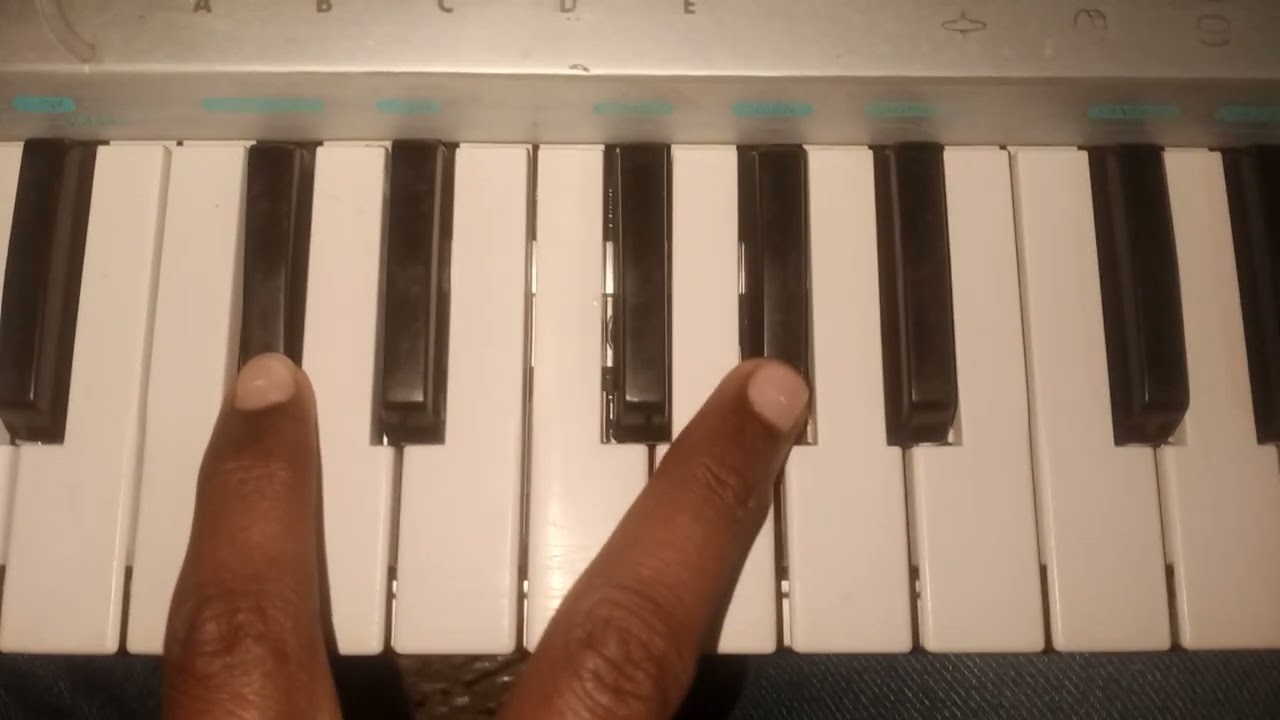 शास्त्री लोग कैसे Casio बजाते हैं// Casio sa-45