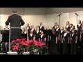 Psalm 8 Adonai, Adonenu (Choir)