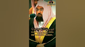 {لَا يَغُرَّنَّكَ تَقَلُّبُ ٱلَّذِينَ كَفَرُواْ فِي ٱلۡبِلَٰدِ} تلاوة مذهلة ومؤثرة جدًا|الشيخ السديس