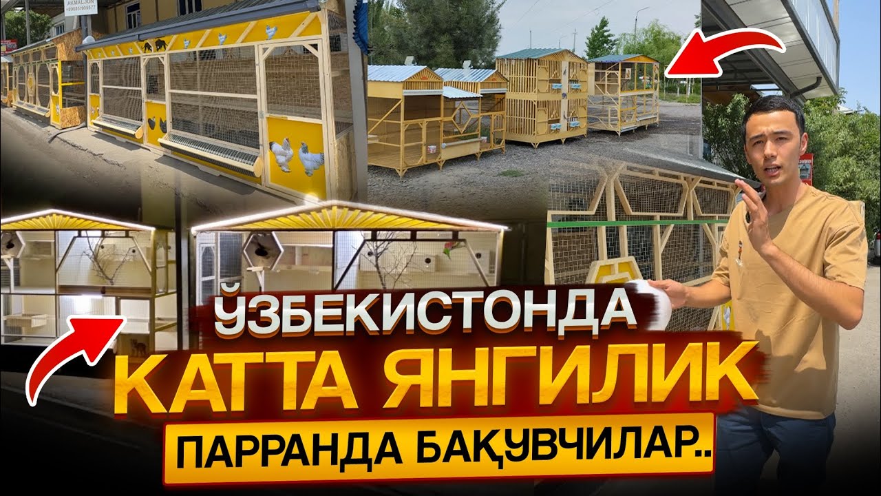 Катаклар оптом сотиладиган жойга келдик бунака нархда топа олмайсиз!