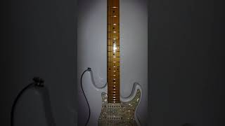 Samick Guitar Custom Pro Shop