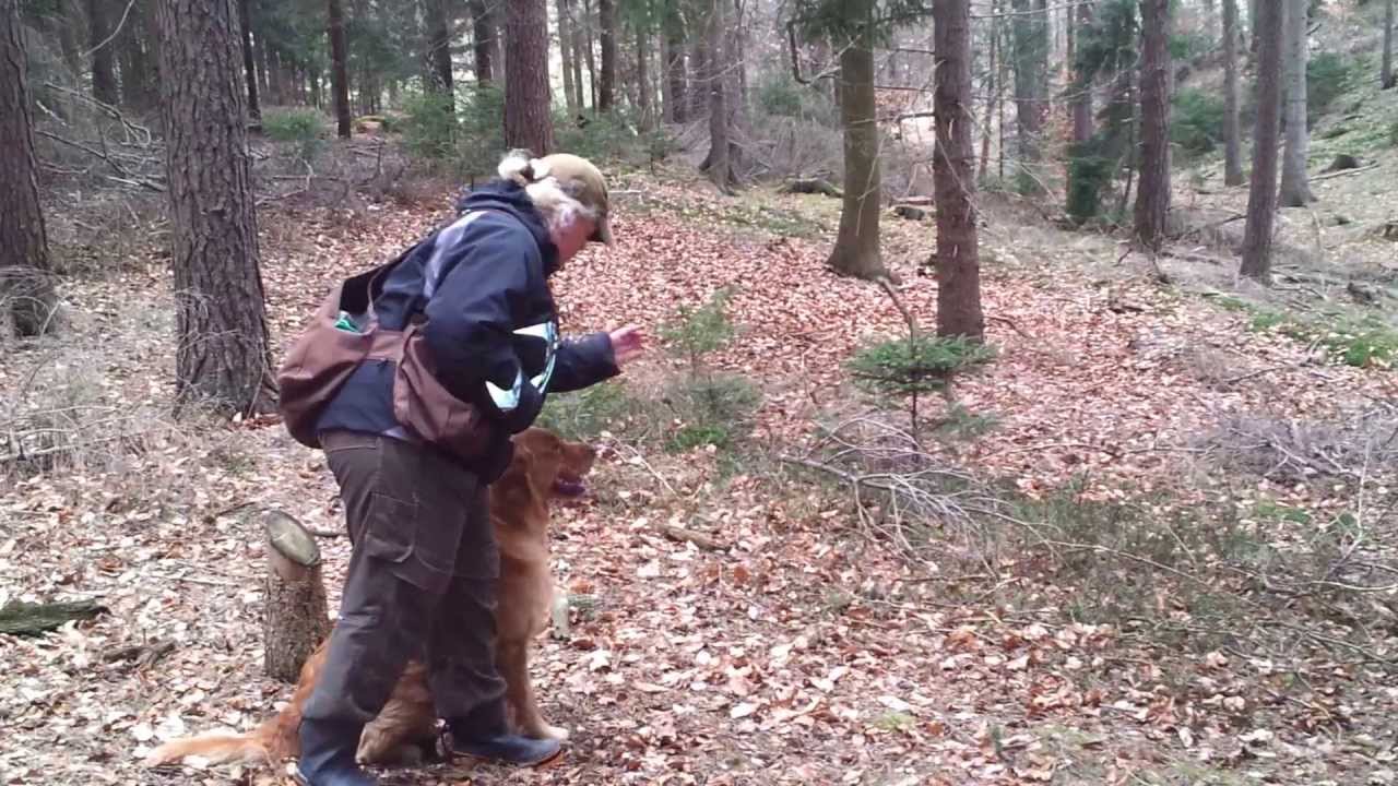 Working Agent Mulder at a Seminar with Norma Zvolsky