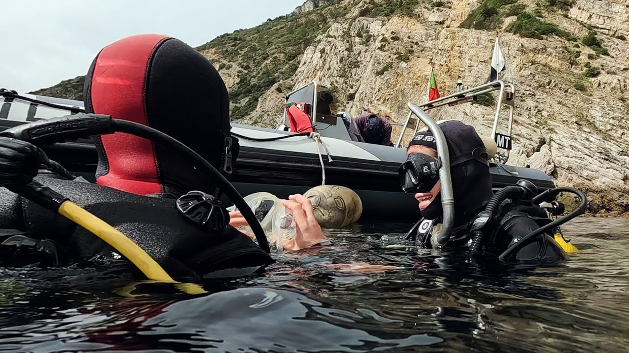 New diving programme by Oceanário de Lisboa! 🤿🌊 YouTube