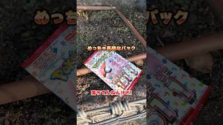 植木に高額ポケカ落ちてたので勝手に開封したら事件が起きた#ダイキ様 #151#ポケモンカード#落とし物#まさお