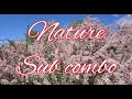 Nature calm personal subby asmr combode 8 minutos