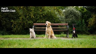 The Club all Pets Want to be Part of - The Pet Health Club